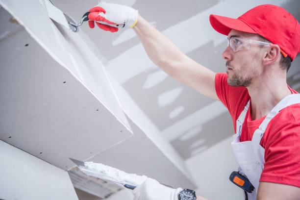 Best Water-Damaged Drywall Repair  in Fowler, IN